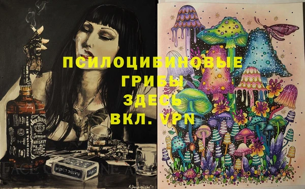прущие грибы Алексин