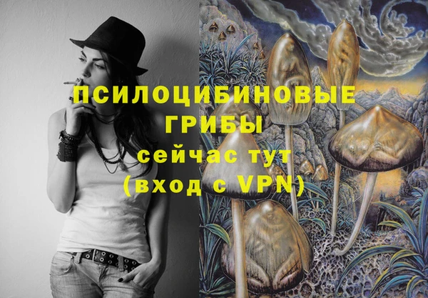 прущие грибы Алексин